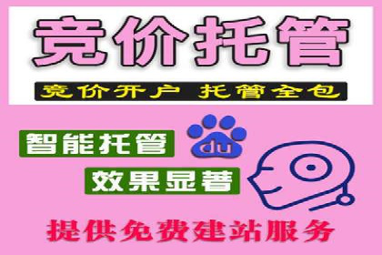 百度推广开户成功案例深度剖析