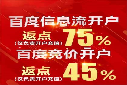 某电商平台的SEM推广策略及效果分析