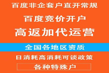 百度竞价推广案例：品牌崛起之路