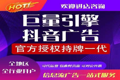 网络推广中的竞价广告：成功案例解析